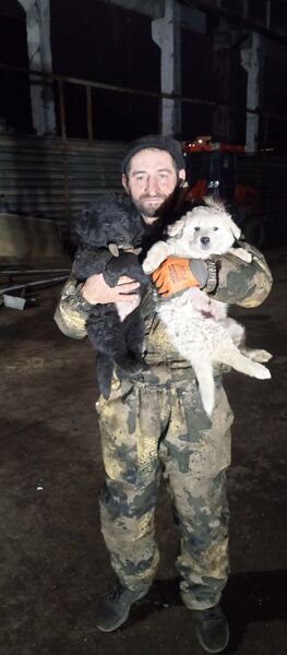  ,   Ruslan, 42 ,   ,   