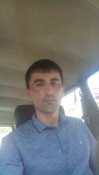 ,   SARDOR, 38 ,   ,   , c 