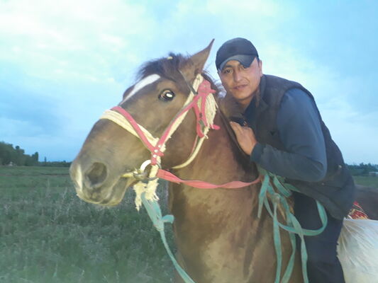  ,   Sanjar, 38 ,     , c 