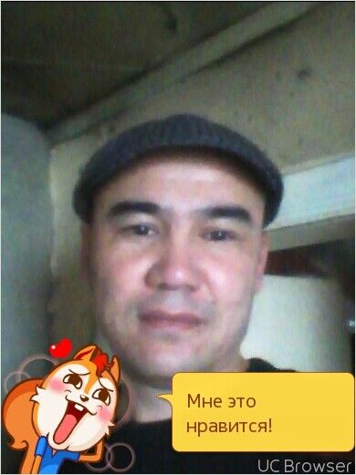  7346042  , 46 ,    
