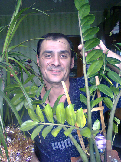  ,   , 52 ,   ,   , c , 