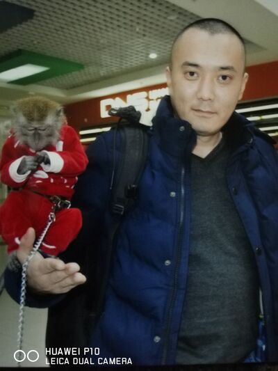  ,   , 44 ,     , c 