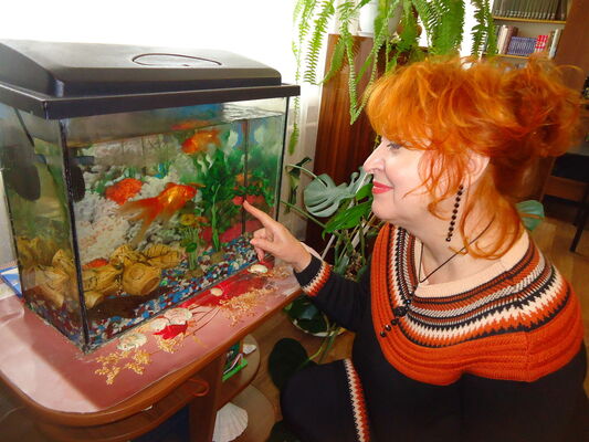  ,   , 63 ,   ,   , c 