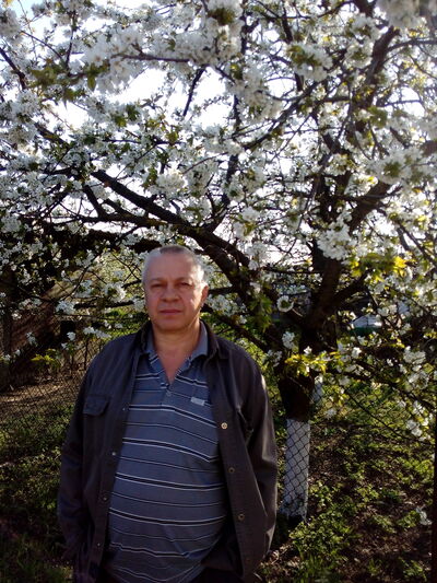  ,   , 65 ,   c 