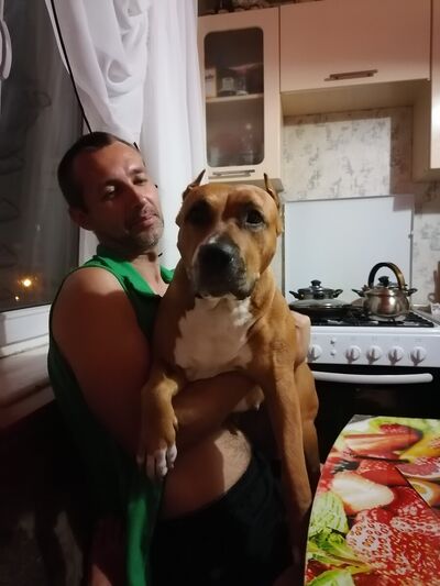  ,   , 41 ,     , c 