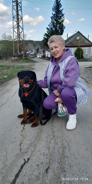  ,   , 59 ,   
