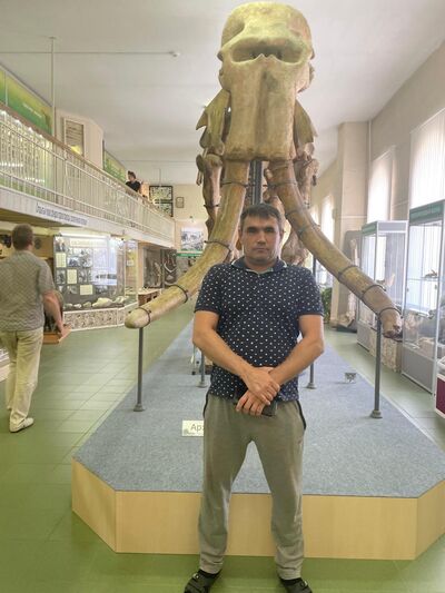  ,   , 37 ,   ,   