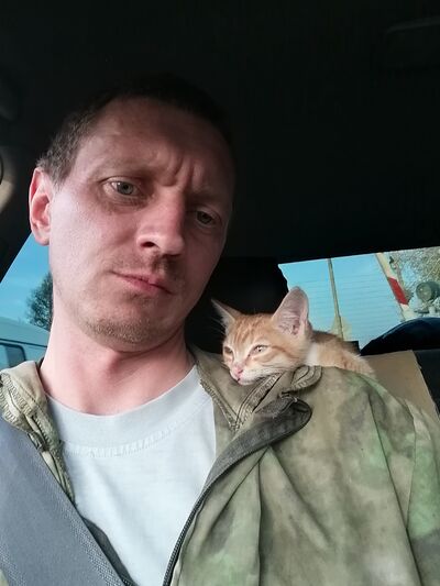  ,   , 38 ,     , 