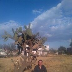 ���������� �������, ���� ������� ������, 45 ���, ������������ ��� ������, ����� � ���������, c�������� ���������