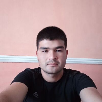  ,   Xon bos, 31 ,   ,   