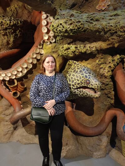  ,   , 46 ,   ,   , c 