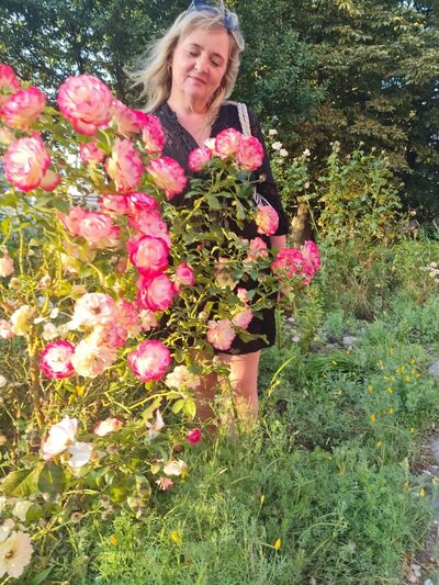  ,   , 53 ,     , c , 