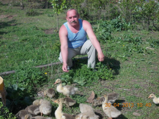  ,   ISKANDER, 73 ,   ,   , c 