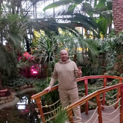  Gliwice,   , 42 ,   ,   