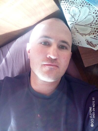  ,   LM, 41 ,   ,   
