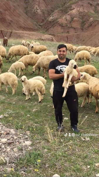  ,   Ozkan, 41 ,   ,   