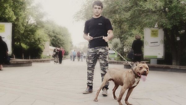  ,   DON, 37 ,  