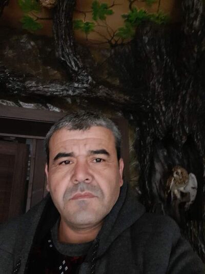  ,   , 50 ,   ,   