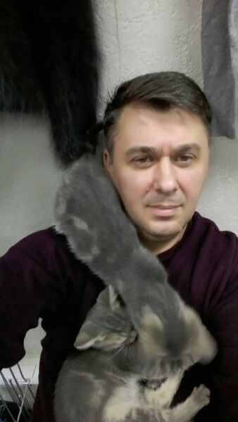  ,   , 43 ,   ,   