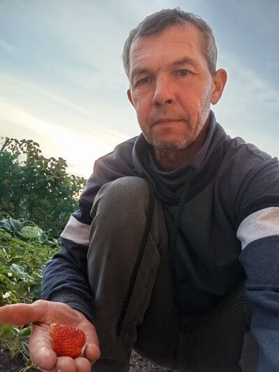  ,   , 49 ,   ,   