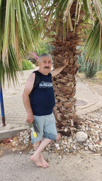  -,   , 55 ,   ,   