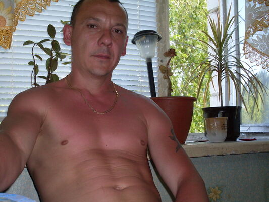  -,   , 53 ,   