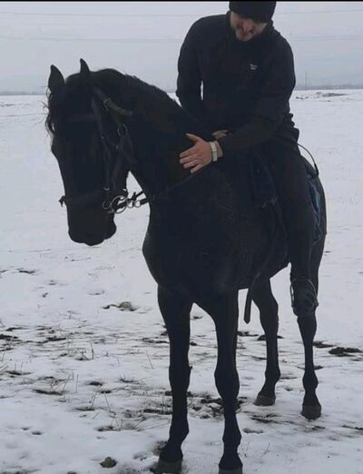  ,   Rustam, 39 ,   ,   