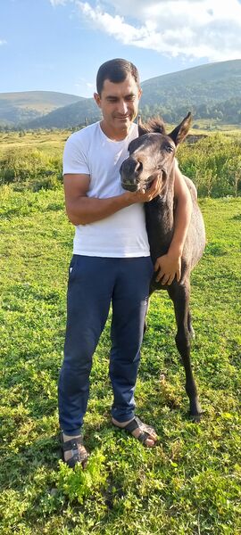  ,   Gevorg, 35 ,   ,   