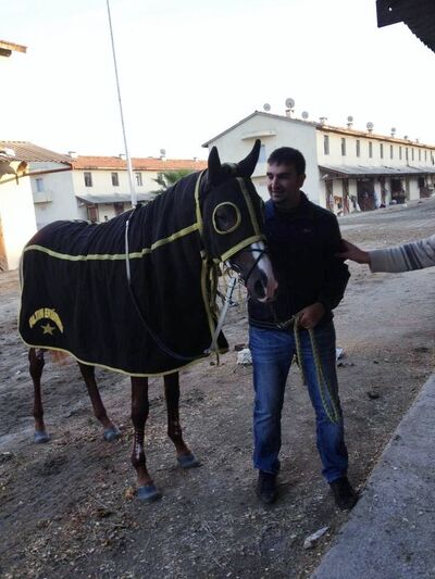  Mercin,   Gokhan, 37 ,   ,   , c 