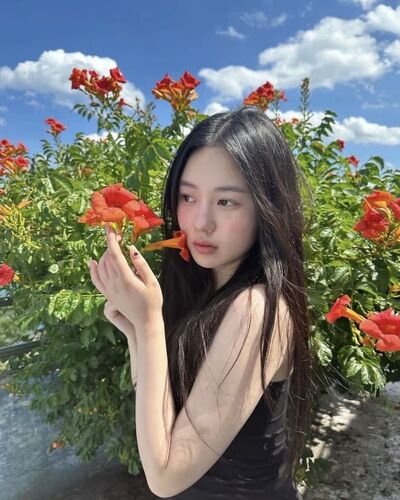  ,   Li, 27 ,   ,   