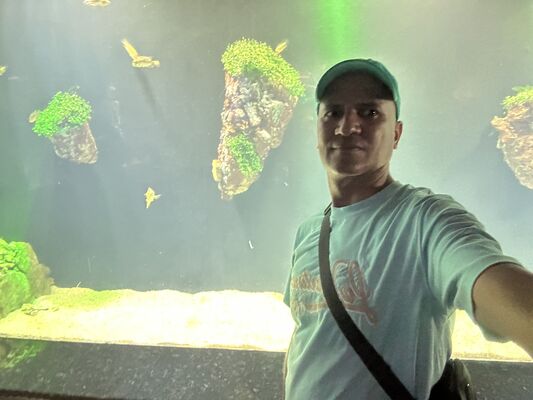  ,   Moumou, 38 ,   ,   