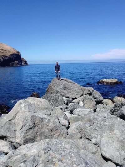  -,   , 28 ,   ,   , c 