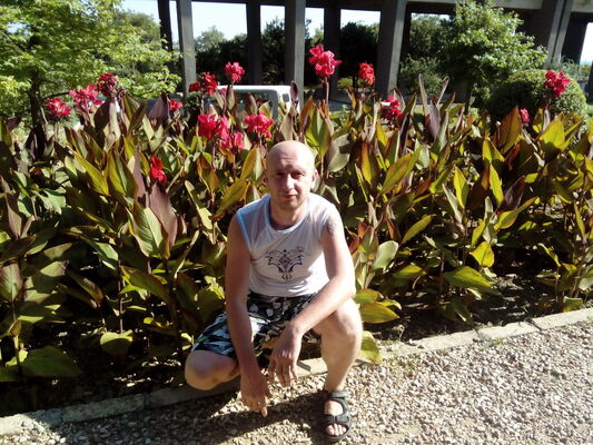  ,   , 46 ,   