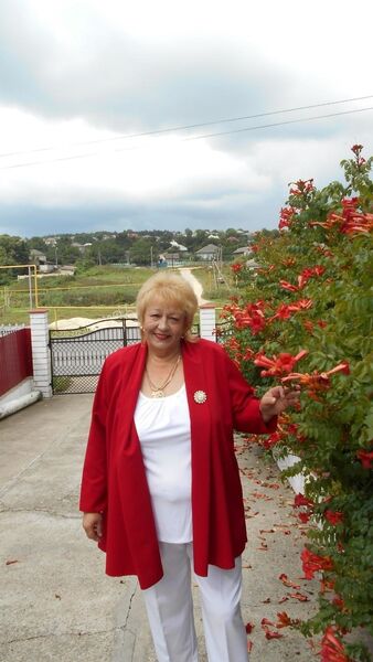  ,   , 65 ,  