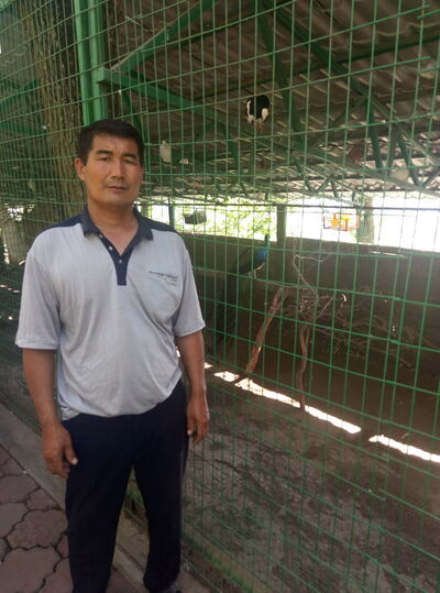  ,   Altynbek, 56 ,   ,   , c 