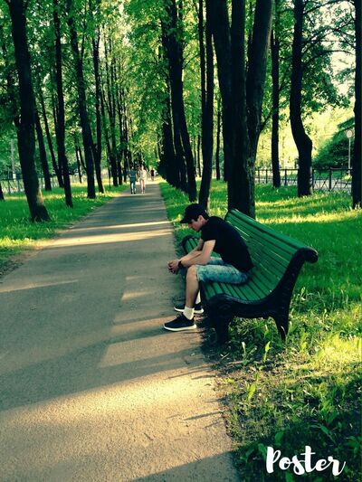  -,   , 31 ,   ,   , c 