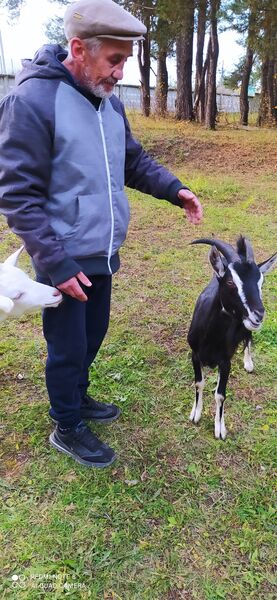  ,   Alexander, 65 ,     , c 