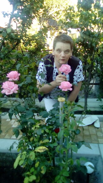  ,   , 52 ,     , c , 