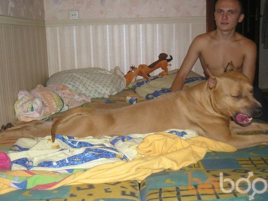 ���������� �������, ���� ������� ����, 37 ���, ������������ ��� ������