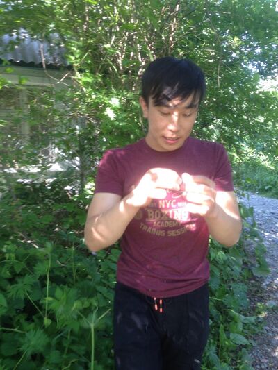  ,   , 29 ,   ,   