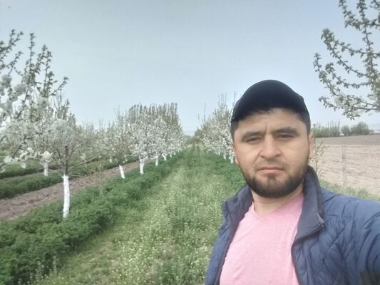  ,   Islam, 37 ,   ,   