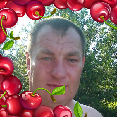   ,   , 52 ,   