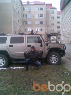  3397382  , 44 ,    