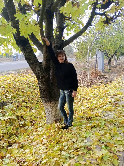  ,   , 49 ,   