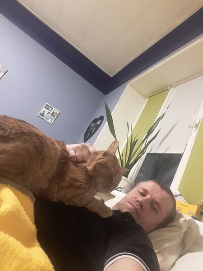  ,   , 35 ,  