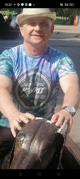  ,   , 51 ,   ,   
