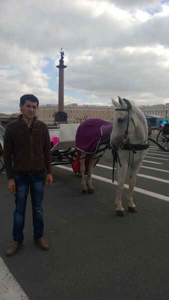  -,   , 33 ,   ,   , c 