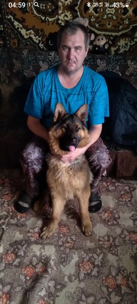  ,   , 45 ,   ,   