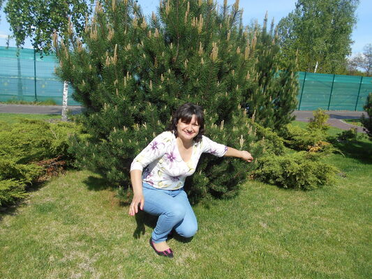  ,   , 61 ,   ,   , c 