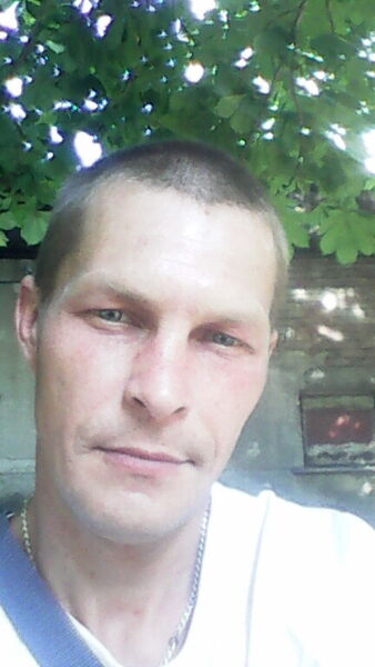  ,   ϸ, 41 ,     , c 